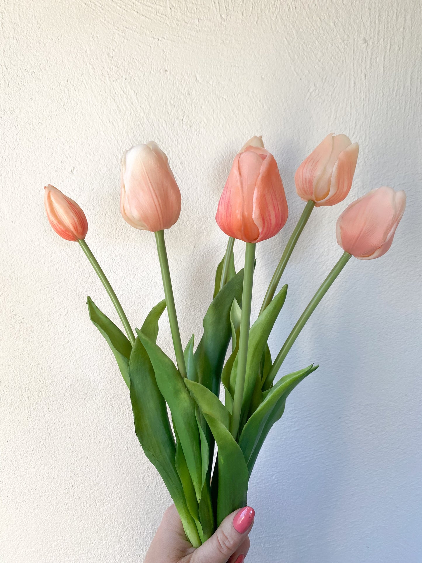 Peach Tulips