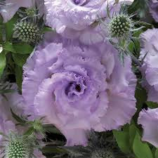 Mother’s Day Bouquet