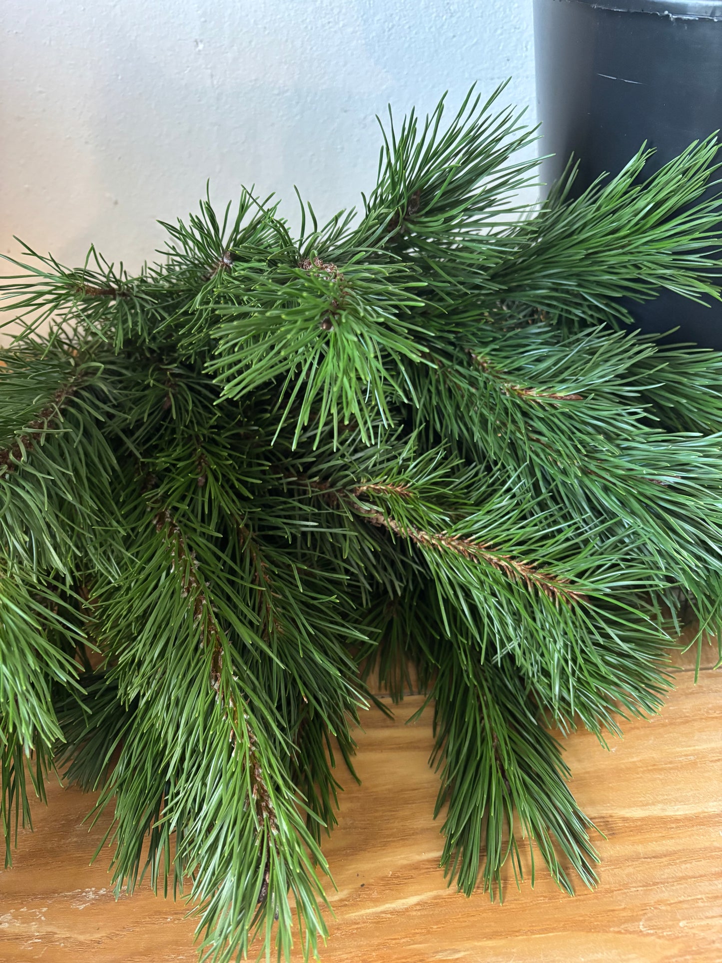 Fresh Christmas Wreath Workshop - Thurs 4th December