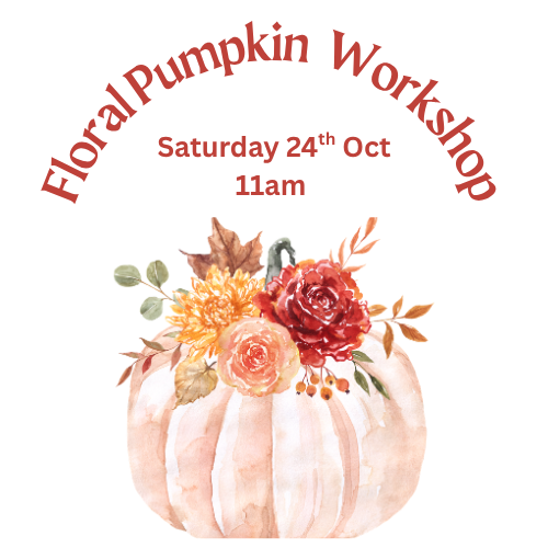 Floral Pumpkin Workshop - SATURDAY 24th Oct 11am