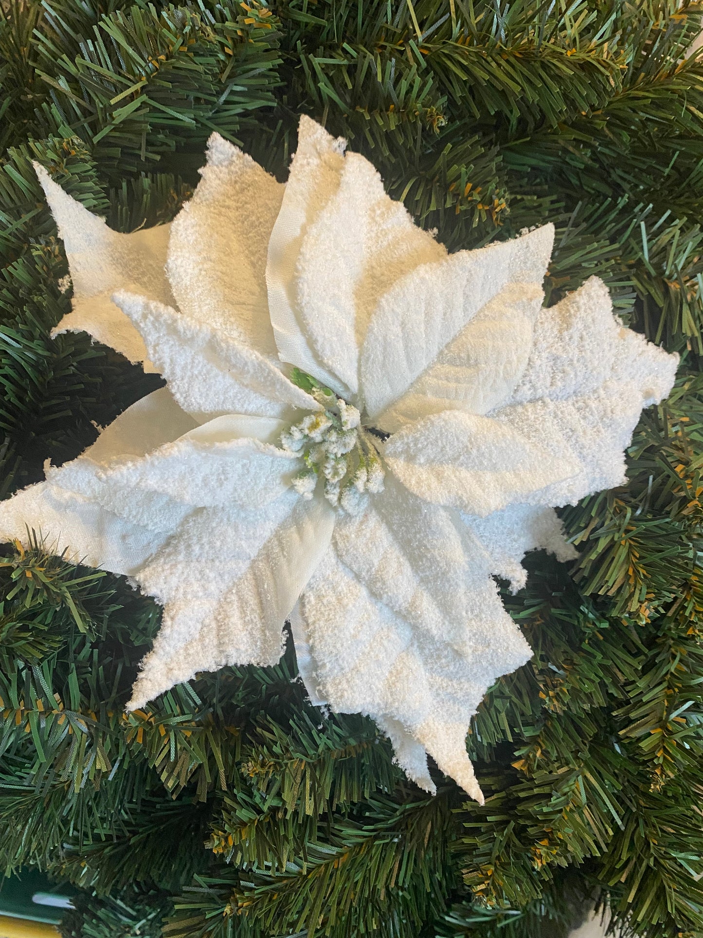 Frosted white Poinsettia Clip