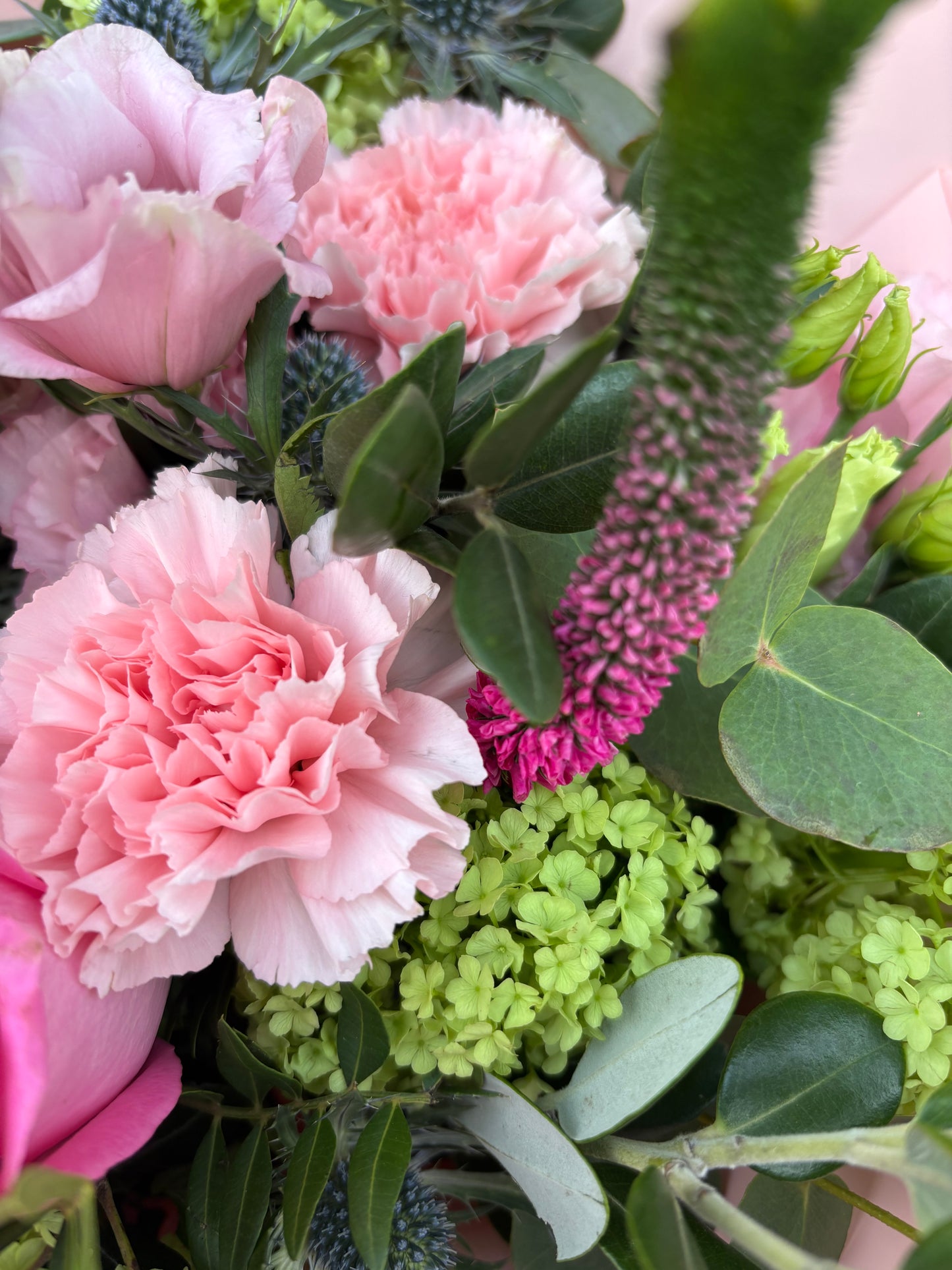 Pink & Green Vibernum