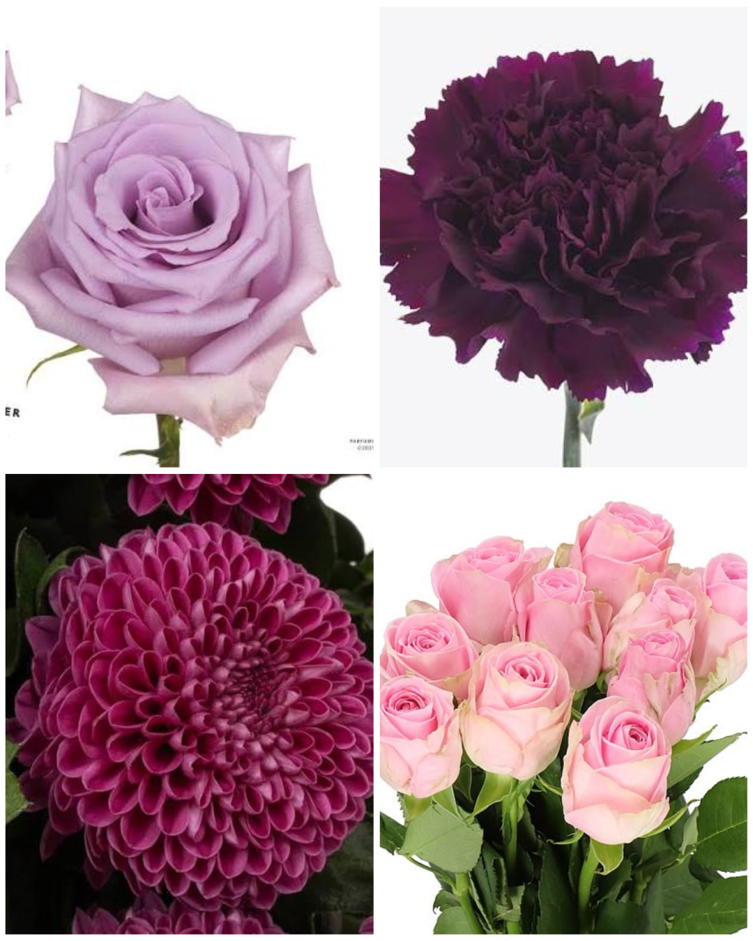 Flower Bouquet of the Week 2