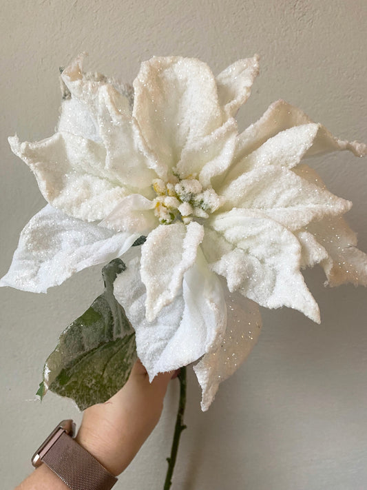 Frosted White Poinsettia flower stem