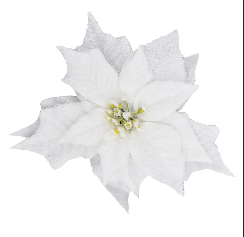 Frosted white Poinsettia Clip