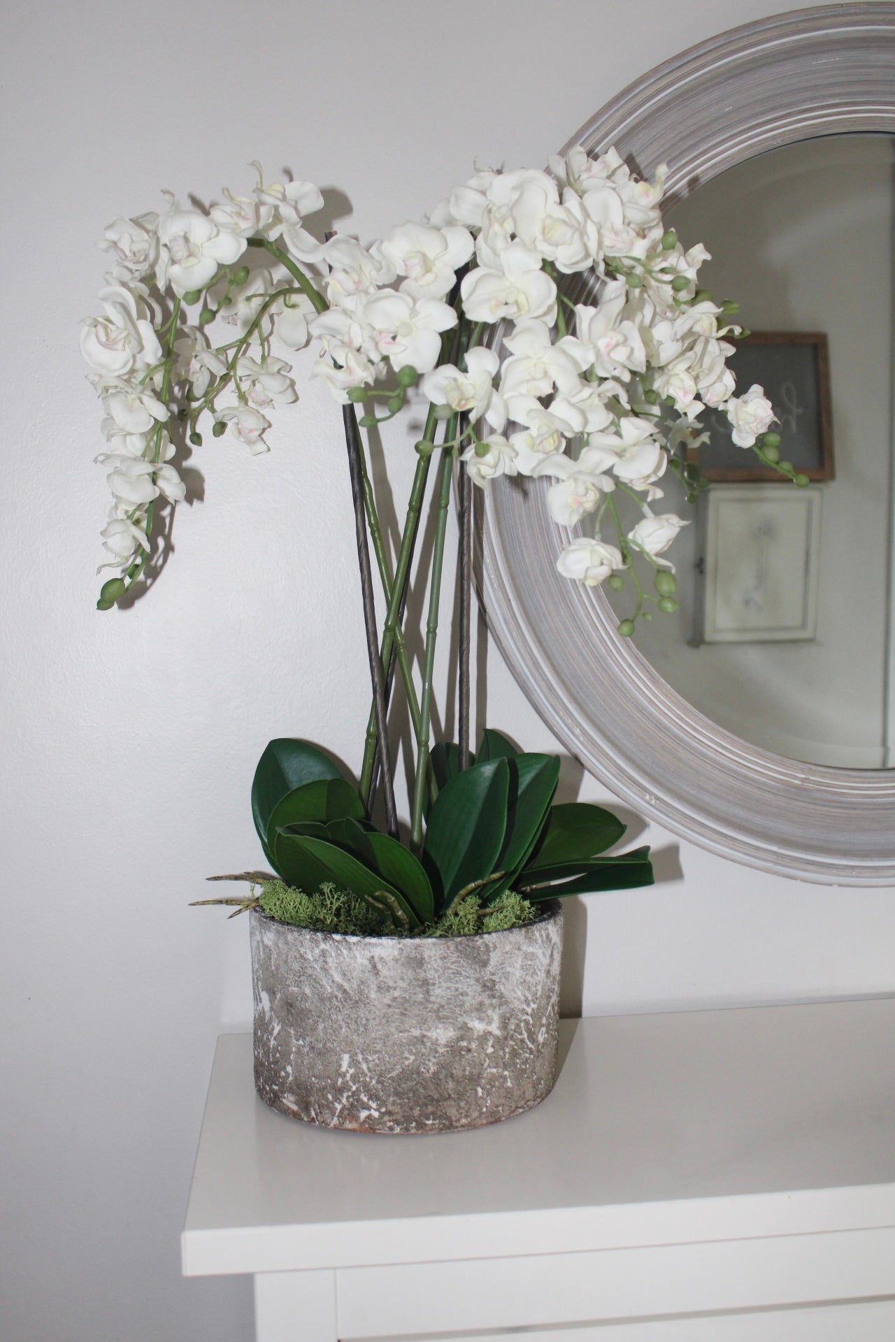 White Orchids plants in Stone pot