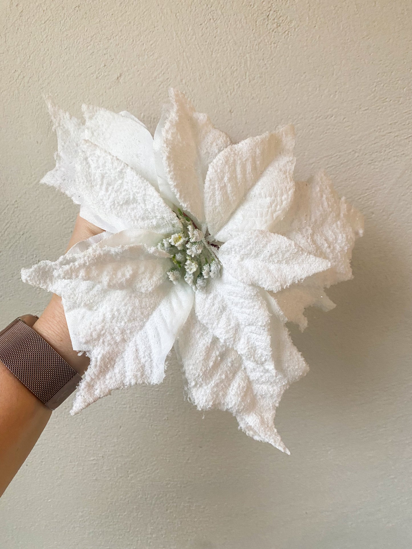 Frosted white Poinsettia Clip