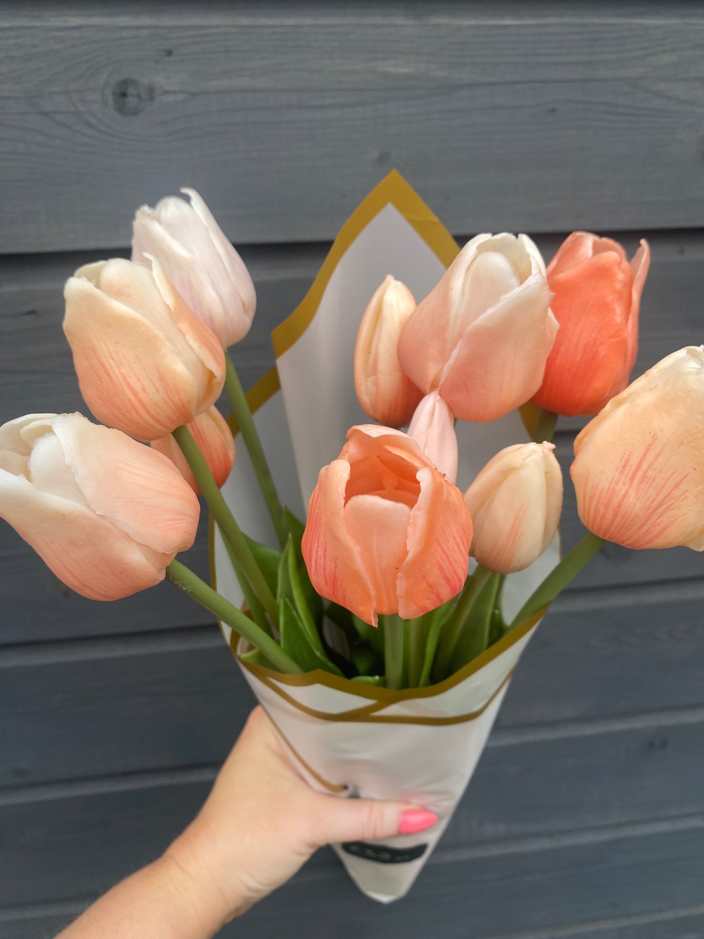 Peach Tulips