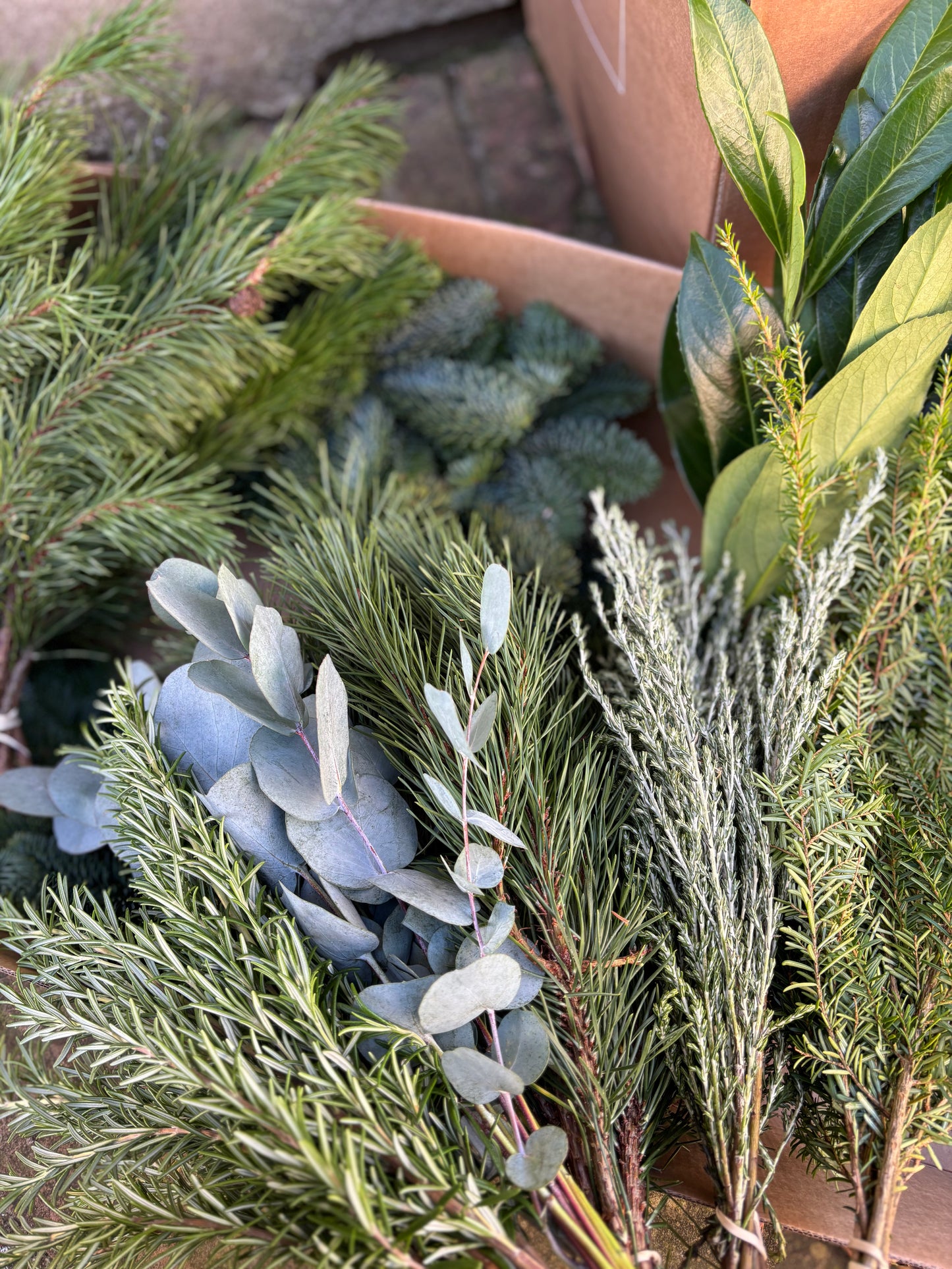 Fresh Christmas Wreath Workshop - Thurs 4th December
