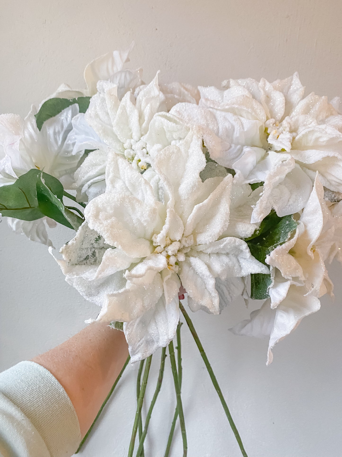 Frosted White Poinsettia flower stem