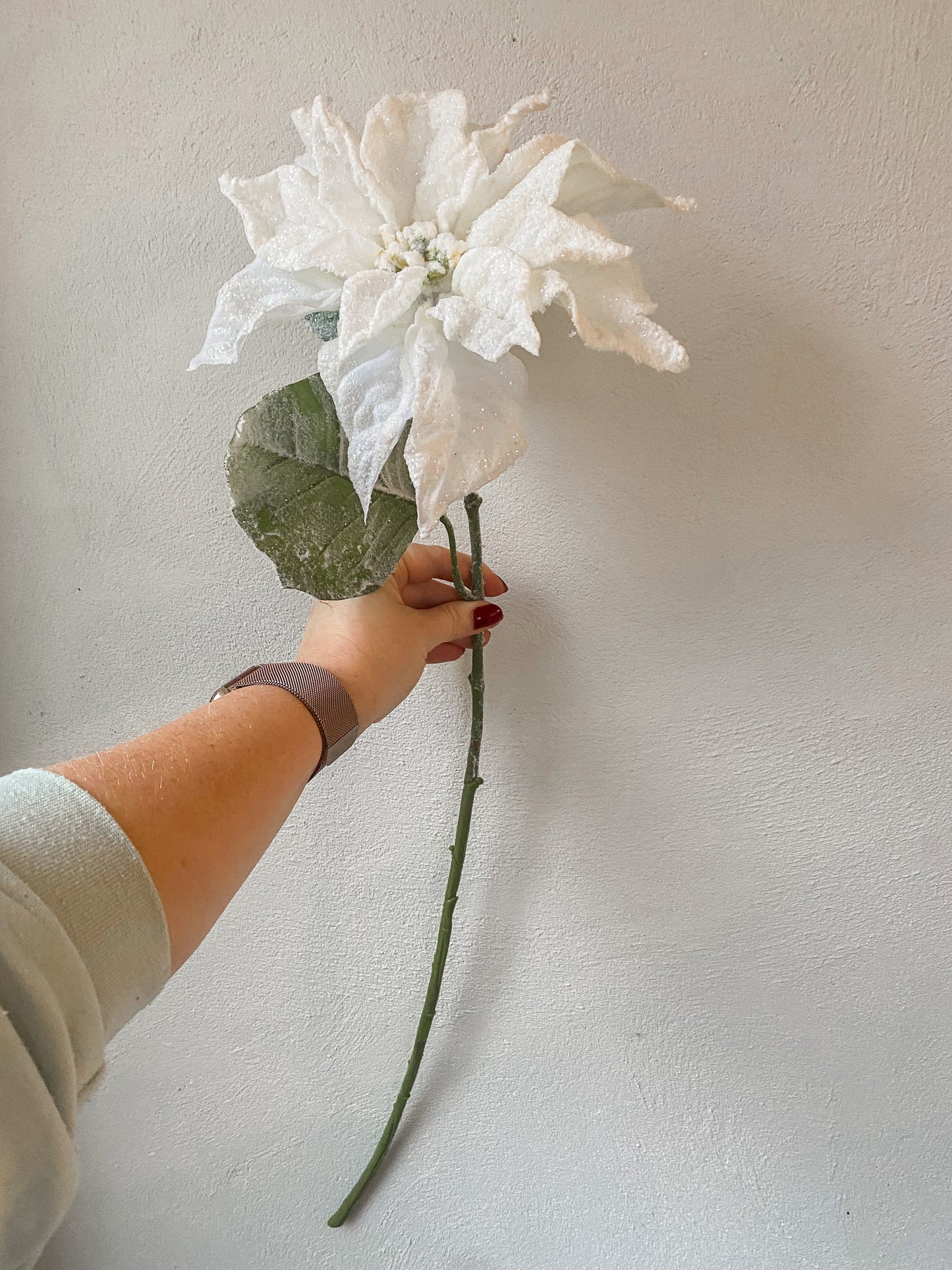 Frosted White Poinsettia flower stem