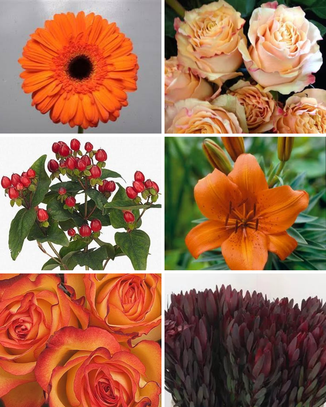 Flower Bouquet of the Week 2