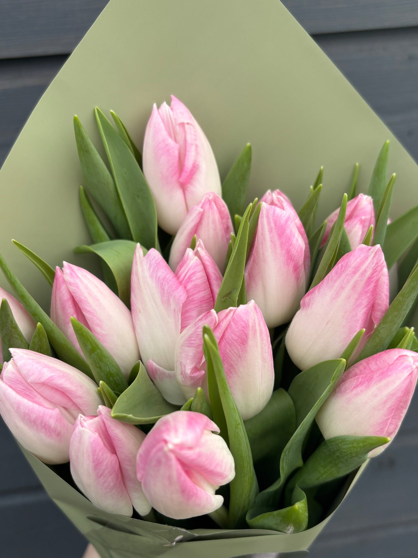 Pink Tulips Bunch